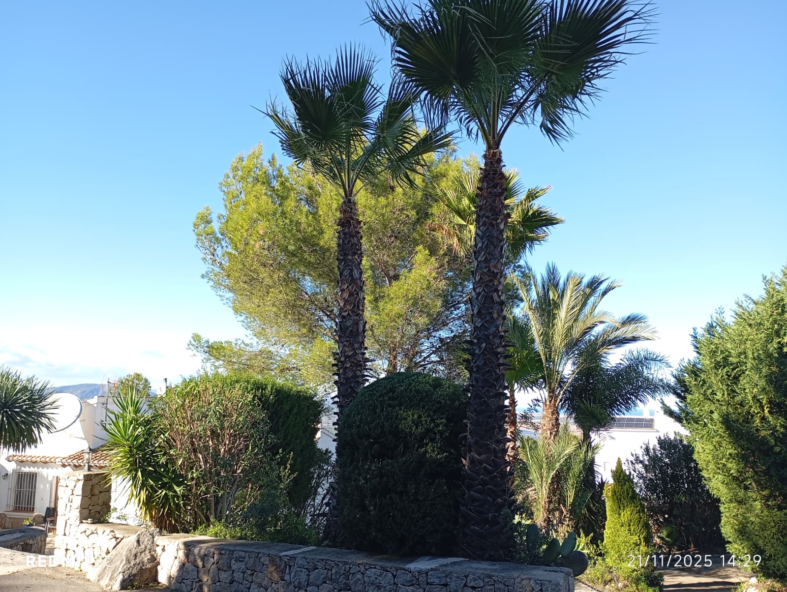 Jardín mediterráneo cuidado por Jardines Quesada